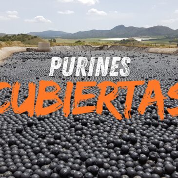 Cataluña define las cubiertas para balsas de purines